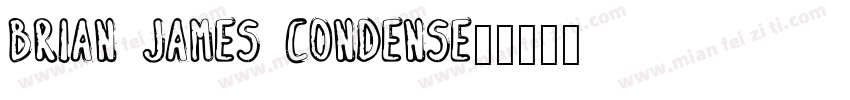Brian James Condense字体转换